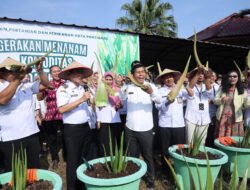 LIDAH BUAYA: Pemkot Pontianak Mulai Galakkan Budi Daya Tanam kepada Petani Lokal