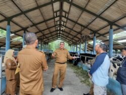 MALANG: UPT Pembibitan dan Pengolahan Hasil Ternak Malang Didorong untuk Tingkatkan Produksi Keju Gouda