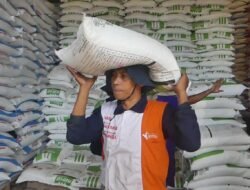 Penyerapan Pupuk Subsidi untuk Petani Tembus 50 Persen