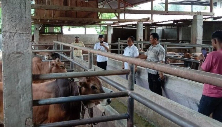 Disnak Aceh Antisipasi Penyakit Brucellosis (Sumber: infopublik.id)