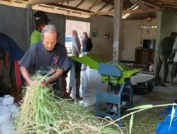 FAPET UGM: Peluang Bisnis Hijauan Fermentasi Disosialisasikan kepada Kelompok Kandang di Bantul