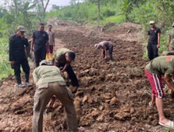 JAGUNG: Brimob Garap Lahan 5 Hektar untuk Dukung Ketahanan Pangan