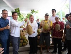 DURIAN: Dorong Perluasan Sertifikasi Durian Lokal Unggulan dari Kota Semarang