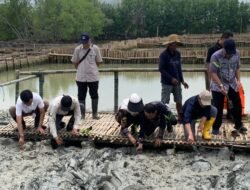 DEMAK: Perkuat Ketahanan Pesisir Melalui Pelestarian dan Penanaman Mangrove