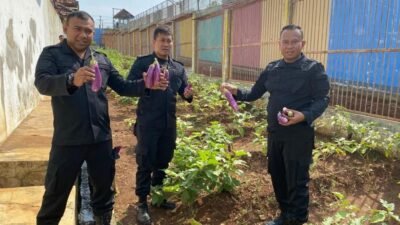 BATANG: Kisah Inspiratif, Dari Lahan Tidur Lapas ke Lumbung Pangan, Patut Diteladani