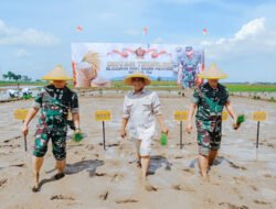 SWASEMBADA PANGAN: Mentan dan Panglima TNI Perkuat Kolaborasi untuk Wujudkan Swasembada Pangan