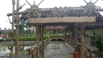TENAYAN RAYA: Wisata Agrowisata yang Hadirkan Konsep Wisata Edukasi di Riau