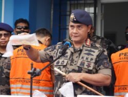 LOBSTER: Penyelundupan 52 Ribu Ekor Benih Lobster Senilai Rp7,8 Miliar Digagalkan Aparat KKP