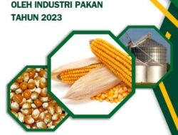 JAGUNG: Pemanfaatan Jagung Lokal oleh Industri Pakan Tahun 2023