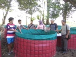 KLATEN: Sekilas tentang Pembesaran Ikan Lele dengan Sistem Bioflok