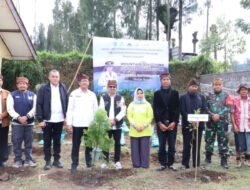 PASURUAN: Hijaukan Lahan Kritis, Gandeng Perusahaan untuk Tanam Bibit Cemara hingga Kopi