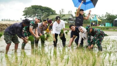 LAMONGAN: Bentuk Satgas Ketahanan Pangan “Sego Boran” (Sinergi dan Kolaborasi untuk Negeri)