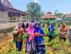 GUNUNGKIDUL: Sekolah Lapang, Manfaatkan Lahan Pekarangan Lumbung Mataraman
