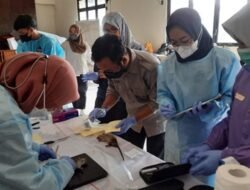 TIKUS: Waspadai Leptospirosis di Musim Hujan, Penyakit dari Kencing Tikus
