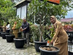 MANGGIS: Tanam 7 Pohon Manggis, Simbol Perlindungan dan Keharmonisan Masyarakat