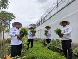 KETAHANAN PANGAN: Dukung Program Pangan Nasional, Rutan Kelas IIA Pekalongan Panen Raya Hasil Kebun
