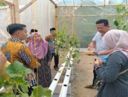 UGM: Tim Pengabdian Masyarakat Fakultas Pertanian UGM Gelar Pelatihan Budi Daya Terpadu Lele dan Melon