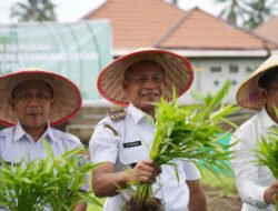 SWASEMBADA PANGAN: Mulai dari Rumah, Gencarkan Tanam Sayuran di Pekarangan