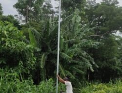 BURUNG HANTU: Pemburu Tikus yang Handal, Perburuan Burung Hantu di Pasuruan Dilarang, Ada Sanksi Serius Bagi yang Melanggar