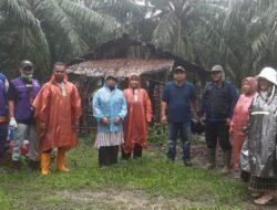 PENYAKIT MULUT dan KUKU (PMK): Duh….1.132 Ekor Sapi di Aceh Timur, Terinfeksi Virus PMK