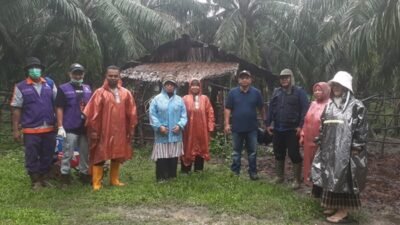 PENYAKIT MULUT dan KUKU (PMK): Duh….1.132 Ekor Sapi di Aceh Timur, Terinfeksi Virus PMK