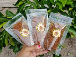 SRAGEN: Abon Nangka, Cita Rasa Baru yang Menggoda Selera, Terobosan Baru Nih…