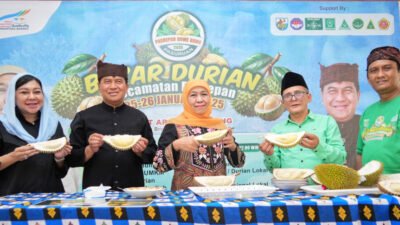 DURIAN: Gubernur Terpilih Khofifah Bilang Durian Pasuruan, Jadi Unggulan Jawa Timur