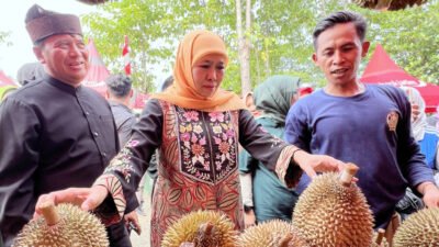 DURIAN: Gubernur Jatim Terpilih, Khofifah Borong “Si Kasmin” dan “Musang King Pasrepan” di Bazar Durian