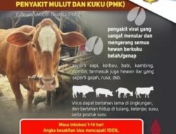 PENYAKIT MULUT dan KUKU (PMK): Kenali, Apa dan Bagaimana tentang PMK….