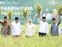 KHOFIFAH: Gubernur Jatim Terpilih Panen Raya Padi Bersama Petani di Kabupaten Pasuruan