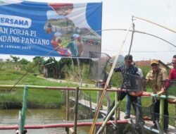 IKAN NILA: Kemitraan dan Pokja PI Kandang Panjang Panen Ikan Nila di Lahan Eks Rob di Pekalongan