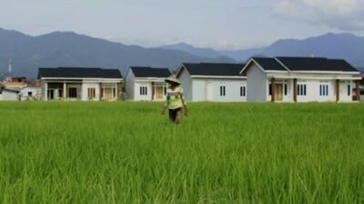 SAWAH: Duh…Lahan Sawah Menyusut, hanya 2.500 Hektare yang Bisa Dipertahankan di Padang