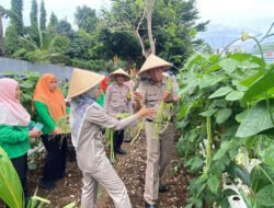 JAKARTA: Wow…Puluhan Kilogram Sayuran Dipanen di Eco Edu Wisata Ciliwung