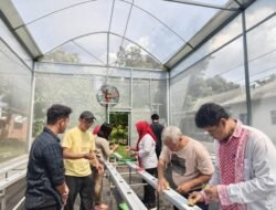 MELON MADU: Dorong Petani Milenial dengan Uji Coba Budi Daya Melon Madu Berbasis Smart Farming