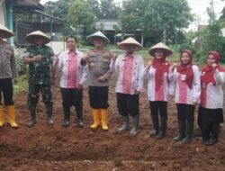 SWASEMBADA PANGAN: Optimalkan Lahan Tidur dengan Pertanian Jagung untuk Dukung Program Swasembada Pangan