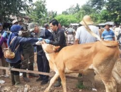 PENYAKIT MULUT dan KUKU (PMK): Antisipasi Penularan PMK, Pemkab Rembang Perketat Pengawasan di Pasar Hewan