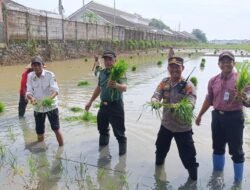 SWASEMBADA PANGAN: Dukung Program Asta Cita, Lahan Produktif di Batang, Dioptimalkan