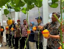 UMM: Teknologi Smart Farming Edupark UMM, Kendalikan Greenhouse dari Jarak Jauh