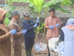 WASPADA PMK: Kementan Gelar Vaksinasi Massal Ternak di Wonosari, Gunungkidul, Yogyakarta