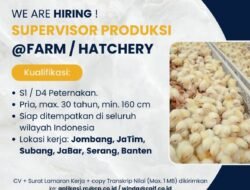 INFO LOKER: PT Charoen Pokphand Jaya Farm Mencari Supervisor Produksi