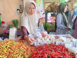 CABAI RAWIT: Jelang Ramadan, Harganya Tembus Rp100 Ribu Per Kilogram di Pasuruan, Jawa Timur