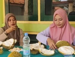 DURIAN: Gelar Acara Makan Durian Sepuasnya di Rembang, Jawa Tengah, 30 Menit Ludes…