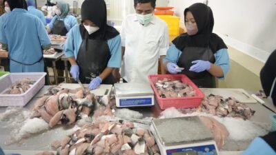 MAKAN BERGIZI GRATIS (MBG): KKP Pastikan Ikan untuk MBG, Terjamin Kualitasnya
