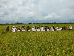 GABAH: Panen Raya Padi di Ngawi, Pemprov Jawa Timur Pastikan Penyerapan Gabah untuk Lindungi Petani
