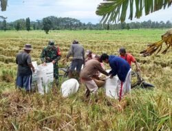 LUMAJANG: Beras Lokal Jadi Prioritas, Impor Disetop, Petani Diuntungkan