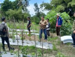 FAPERTA UGM: Siapkan Petani untuk Ikuti Program Kemitraan Pepaya Callina dengan Indomaret