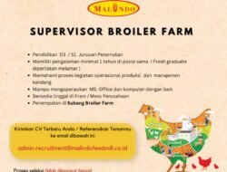 INFO LOKER: PT Malindo Feedmill Mencari Supervisor Broiler Farm untuk Subang