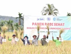 MUHAMMADIYAH: Panen Raya Padi Sehat, Ikhtiar Wujudkan Kedaulatan Pangan