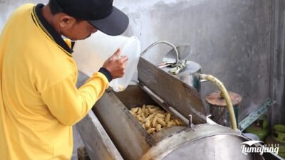 LUMAJANG: Pisang Mas Kirana Tidak Hanya Dijual Segar, Tapi Diolah Jadi Produk Bernilai Ekonomi