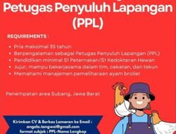 INFO LOKER: PT Tong Wei Indonesia Membutuhkan Petugas Penyuluh Lapangan untuk Area Subang, Jawa Barat